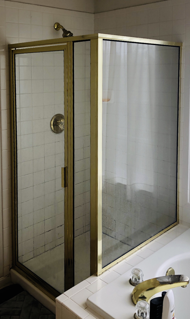 glass shower with mildew